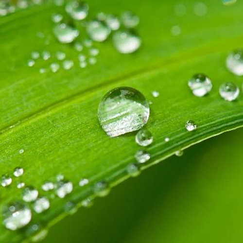 混凝土砂漿憎水劑